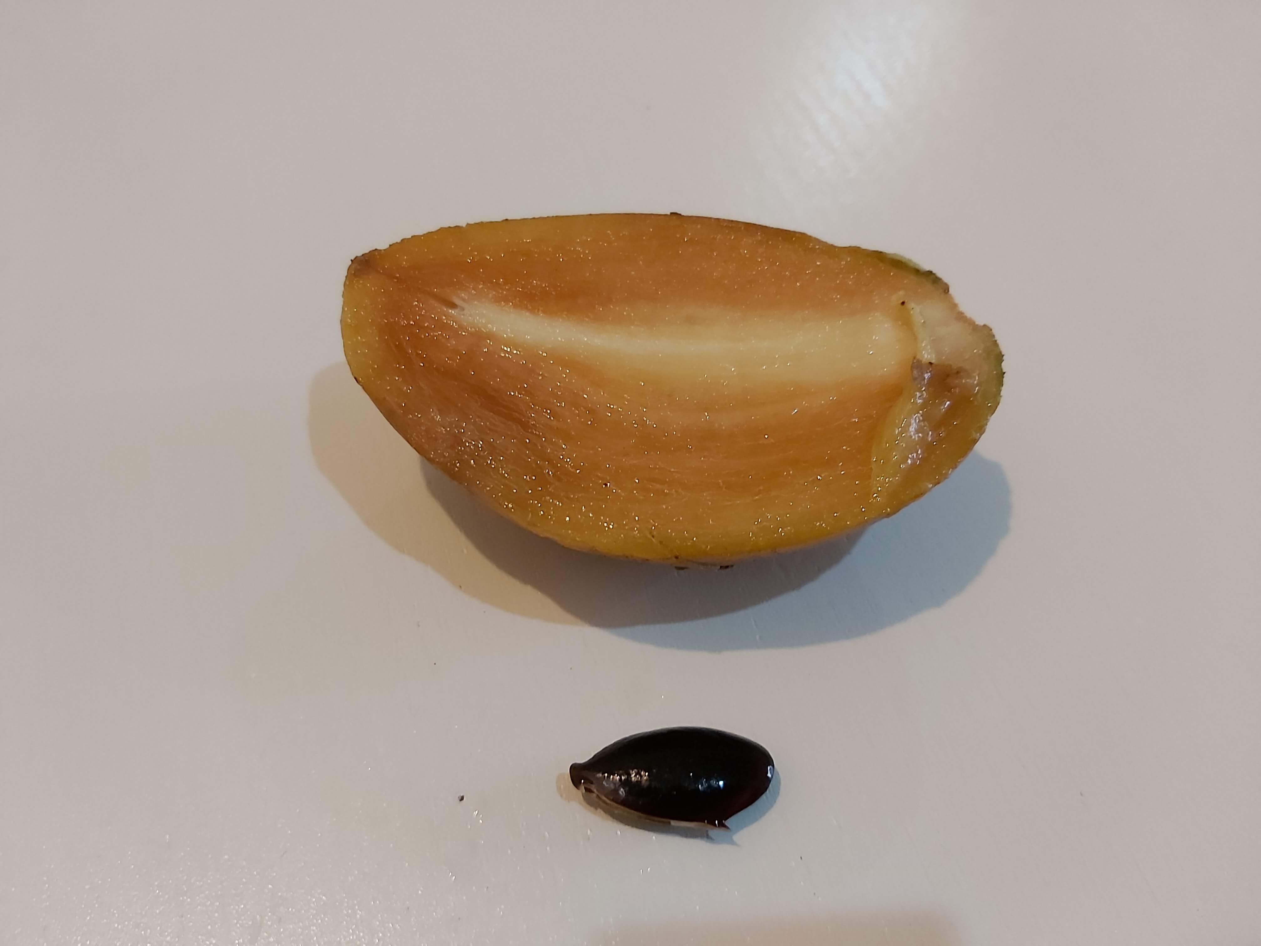 チク皮むき