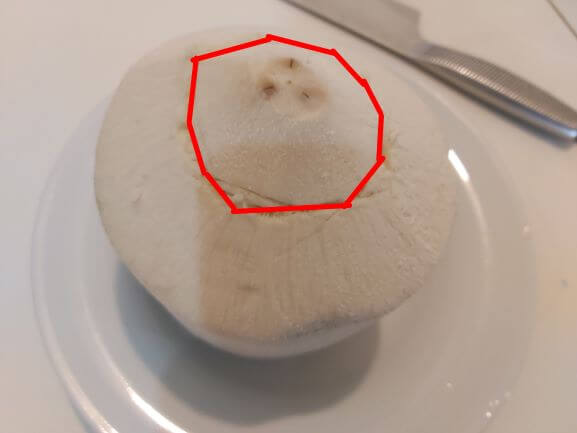 ココナッツ切り目