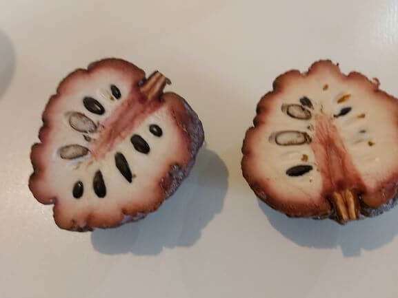 Custard Apple半分