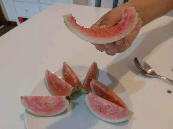 食べてみた。