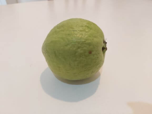 グァバの実