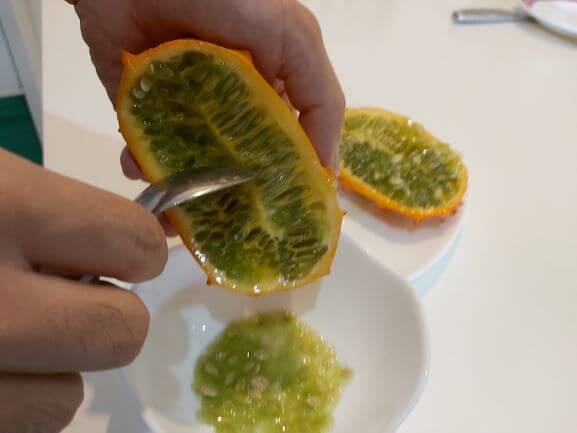 キワノ種だし