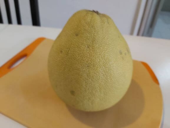 ポメロ見た目